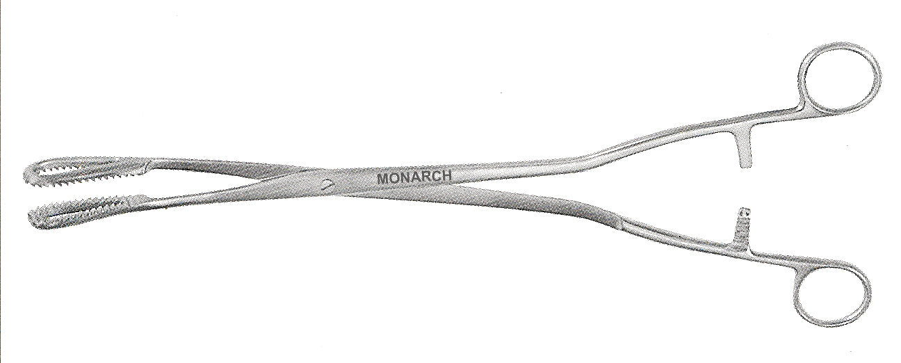 Bierer Ovum Forceps w/ratchet 16mm jaw