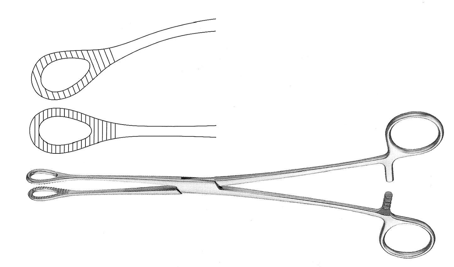 Foerster Ring Forceps Serrated, Straight, 9.5" Length