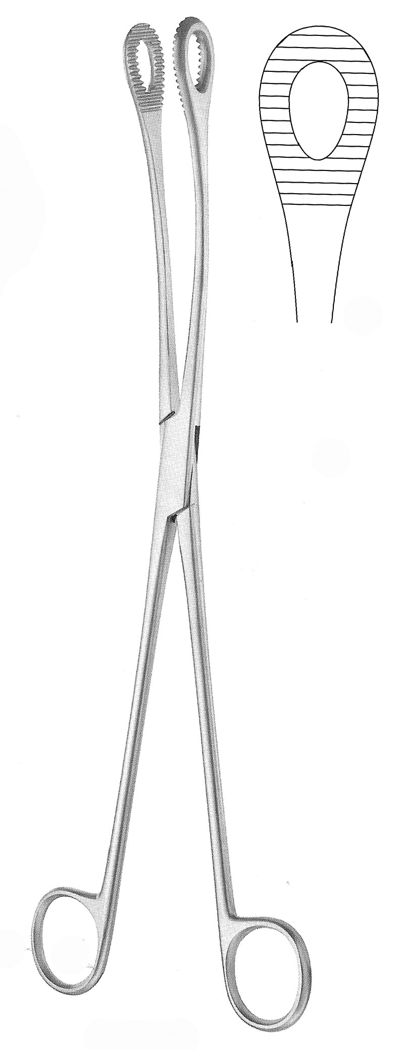 Kelly Placenta Forceps